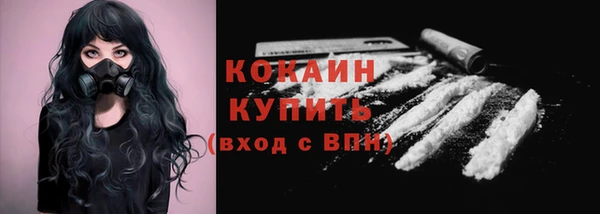 соль ск Абаза