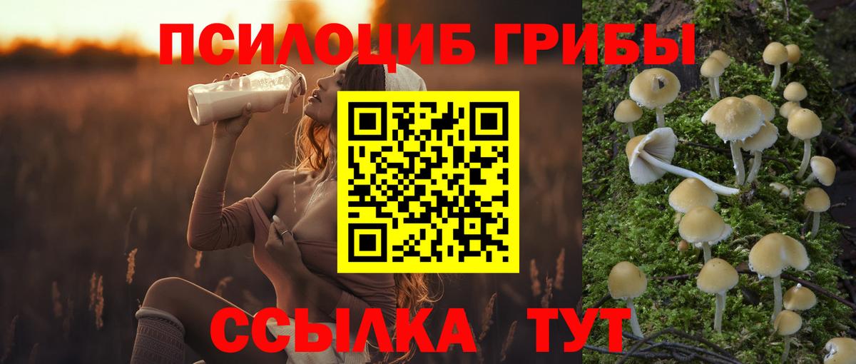 Мефедрон  Каннабис  APVP  Вейп ТГК  Абакан  Ляпка  Марихуана  Вход с VPN  Cocaine  Molly 