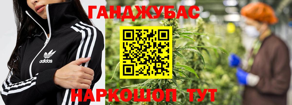 Конопля индика Абакан